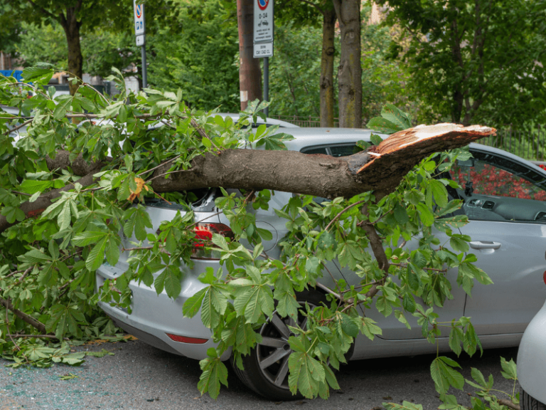 accidentes en la vía pública