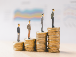 principio de vertebración